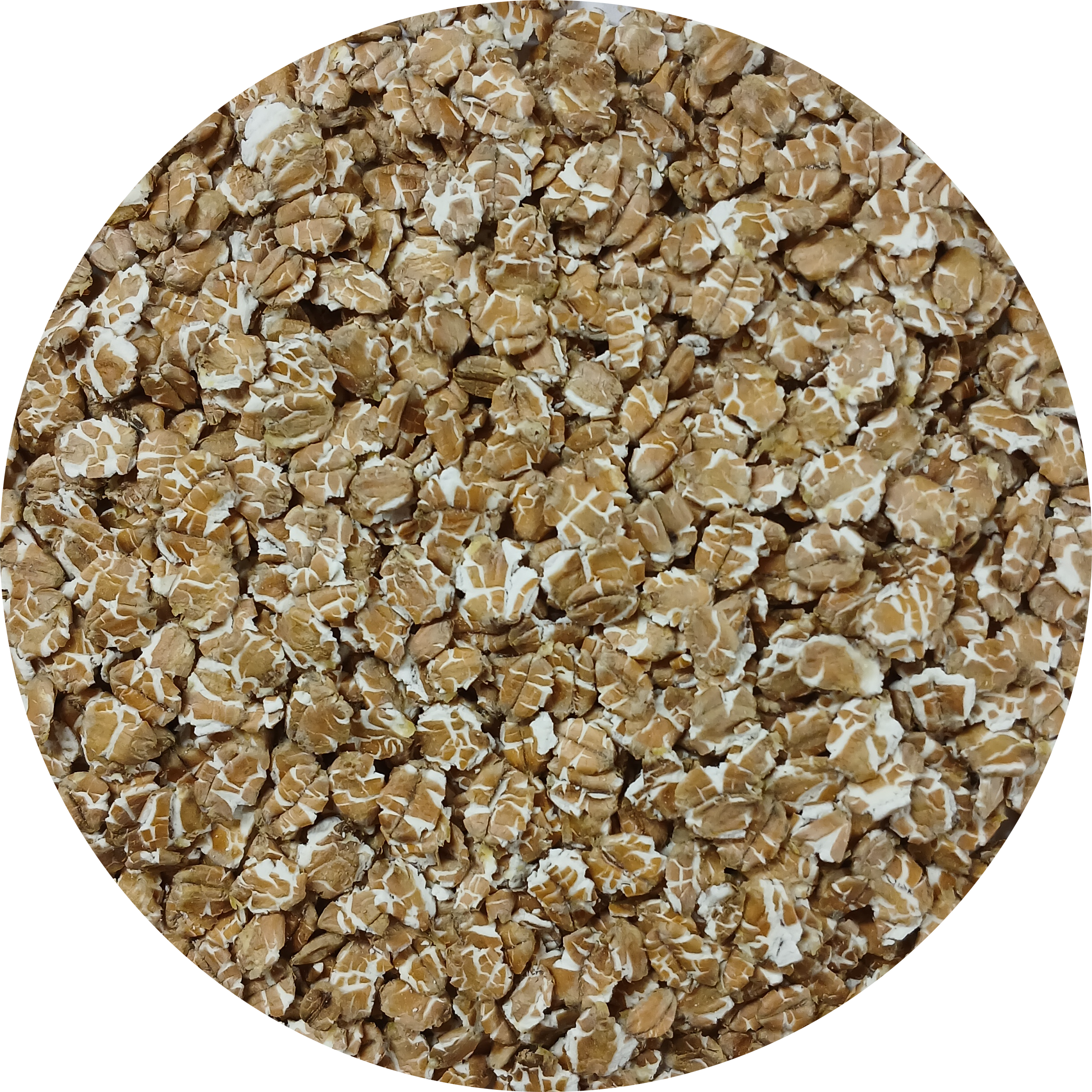 Tarwevlokken Biologisch